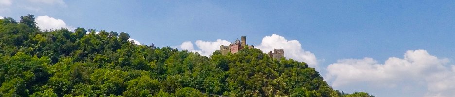 Castillo Rhin Oberwesel